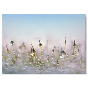Картина «Капли воды траве» фото