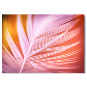 Картина «Перо на розово-желтом фоне» фото