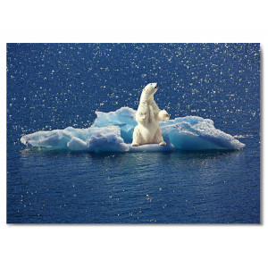 Картина «Белый медведь» фото