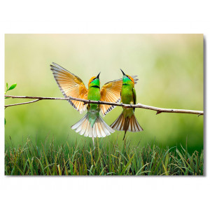 Картина «Птицы с зеленой грудкой» фото
