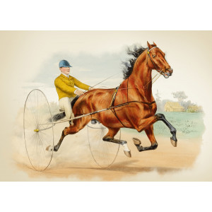 Картина «Лошадь». Вид 3 фото