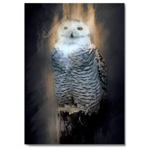 Картина «Снежная сова» фото