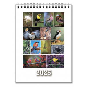 Календарь на 2025 год «Птицы» фото